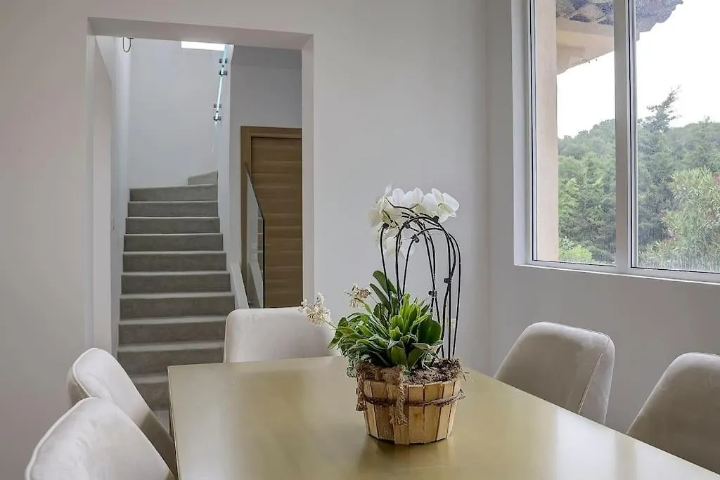 Twin Luxurious Villas 8 Bedroom Pool In Vallauris
